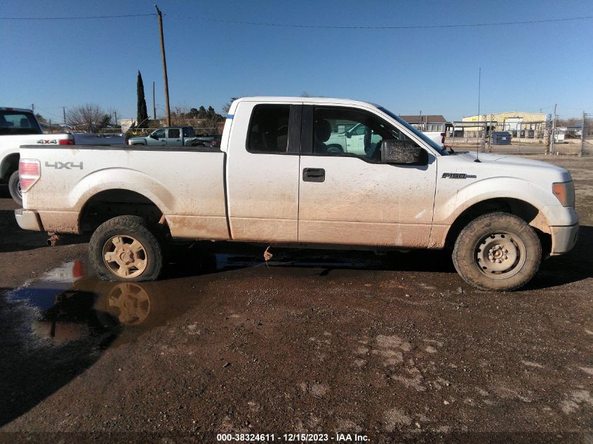 2013 FORD F-150 XLT - 1FTEX1EM2DFA68709