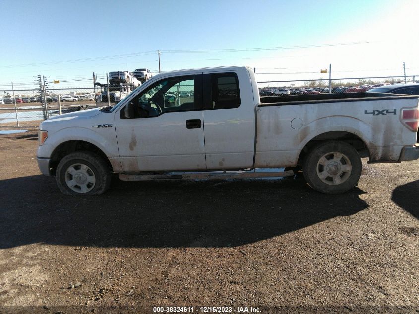 2013 FORD F-150 XLT - 1FTEX1EM2DFA68709