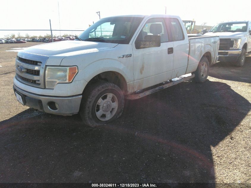 2013 FORD F-150 XLT - 1FTEX1EM2DFA68709