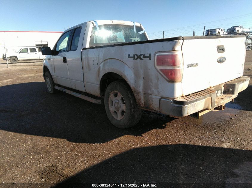2013 FORD F-150 XLT - 1FTEX1EM2DFA68709