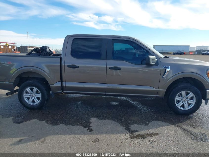 2023 FORD F-150 XLT - 1FTFW1E80PFA37554