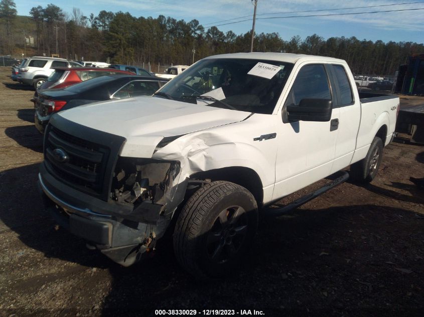 2013 FORD F-150 XL - 1FTFX1EF2DFA68831