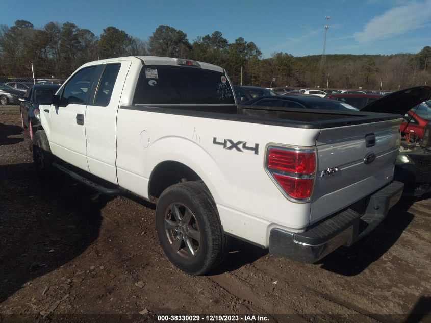 2013 FORD F-150 XL - 1FTFX1EF2DFA68831