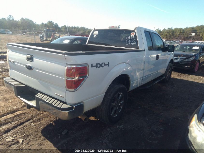 2013 FORD F-150 XL - 1FTFX1EF2DFA68831