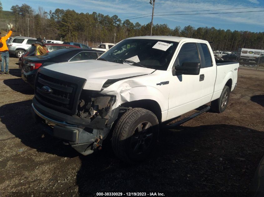 2013 FORD F-150 XL - 1FTFX1EF2DFA68831