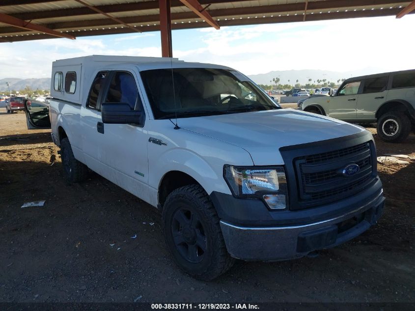 2014 FORD F-150 XL - 1FTFX1ET4EKF21586