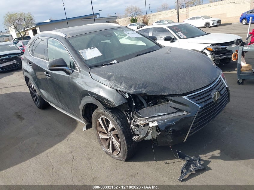 2021 LEXUS NX  (VIN: JTJGARBZ1M2179894)