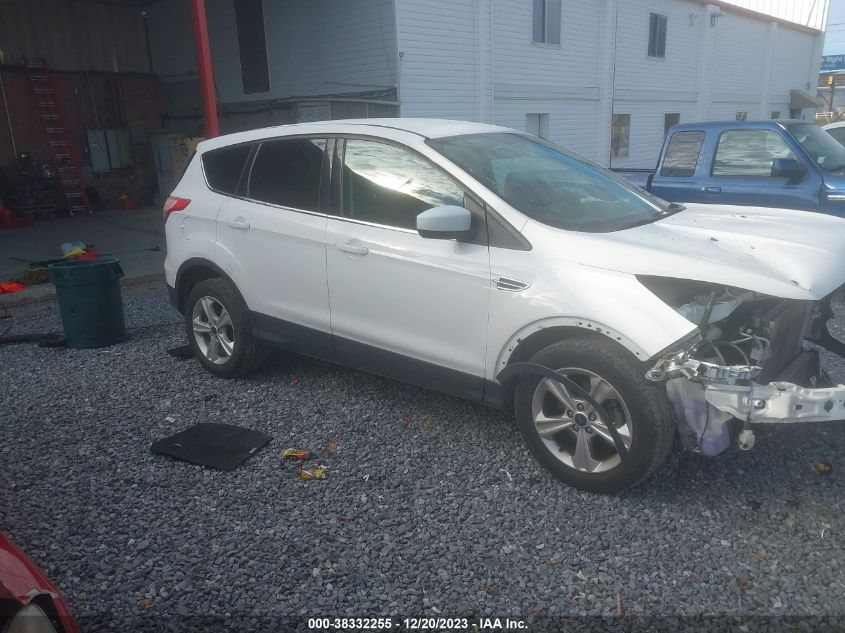 2013 FORD ESCAPE SE - 1FMCU0GX7DUD07387