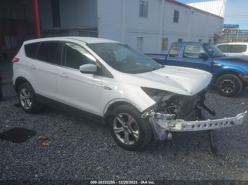 2013 FORD ESCAPE SE - 1FMCU0GX7DUD07387