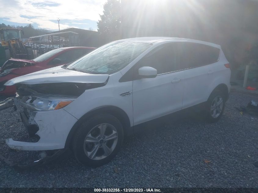 2013 FORD ESCAPE SE - 1FMCU0GX7DUD07387