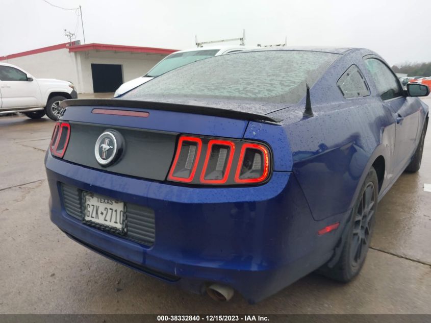 2014 FORD MUSTANG V6 - 1ZVBP8AM3E5309313