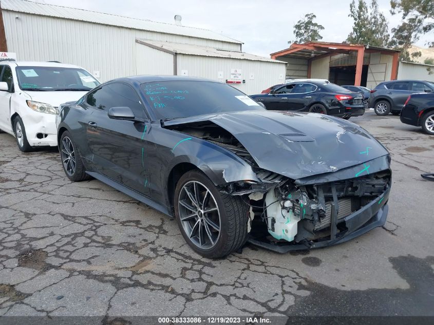 2019 FORD MUSTANG ECOBOOST - 1FA6P8TH1K5175519