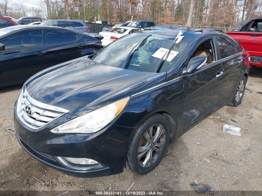 2013 HYUNDAI SONATA LIMITED - 5NPEC4AC3DH535751