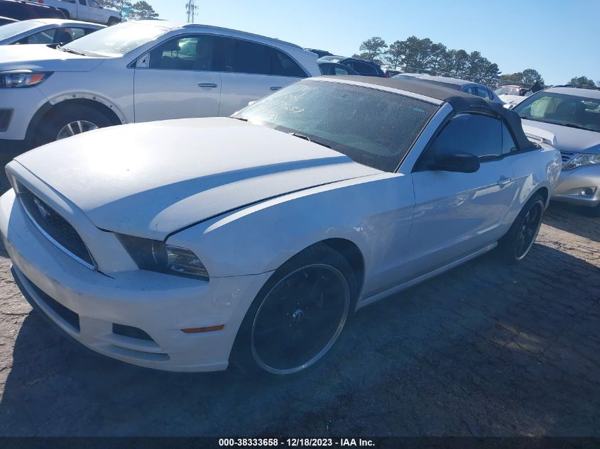 2013 FORD MUSTANG V6 - 1ZVBP8EM9D5272437