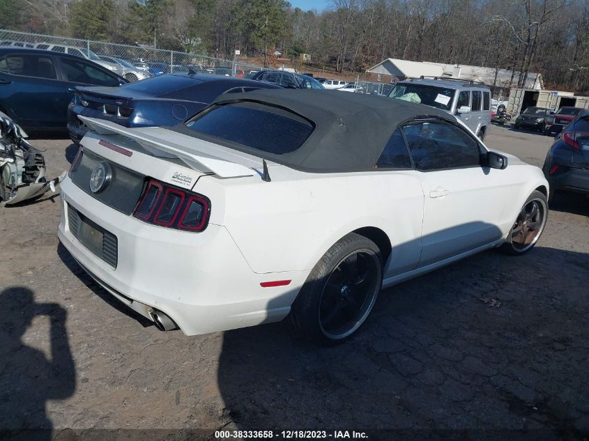 2013 FORD MUSTANG V6 - 1ZVBP8EM9D5272437