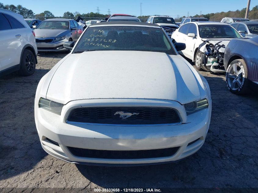 2013 FORD MUSTANG V6 - 1ZVBP8EM9D5272437