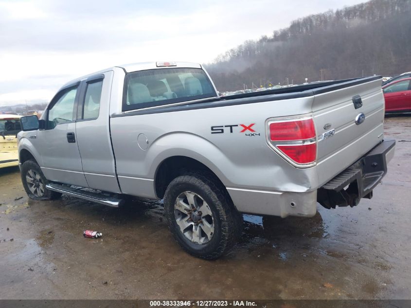 2013 FORD F-150 STX - 1FTFX1EF5DFA13645