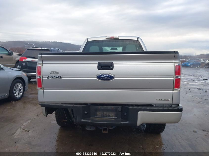 2013 FORD F-150 STX - 1FTFX1EF5DFA13645