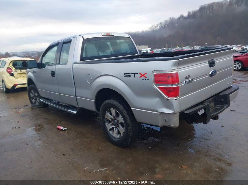 2013 FORD F-150 STX - 1FTFX1EF5DFA13645