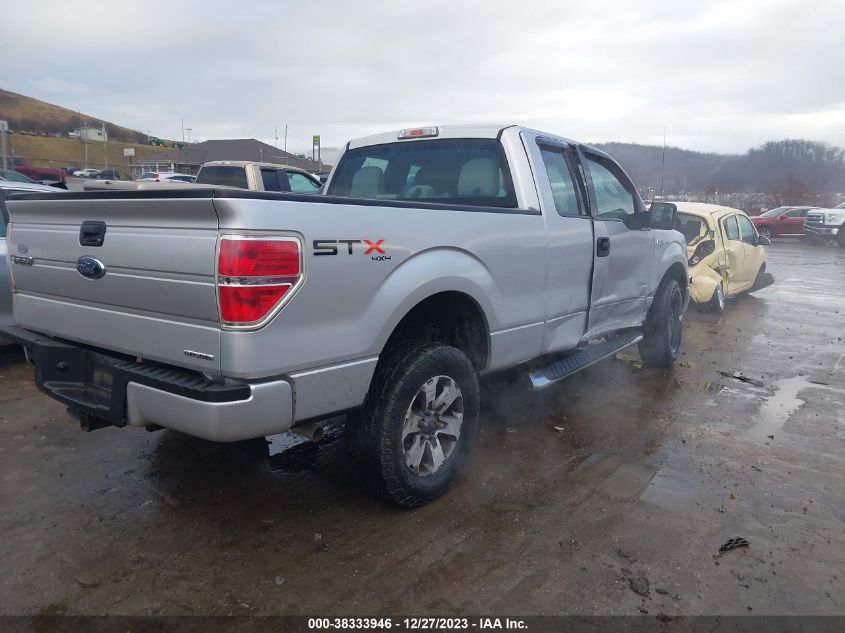 2013 FORD F-150 STX - 1FTFX1EF5DFA13645