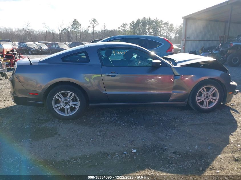 2014 FORD MUSTANG V6 - 1ZVBP8AM3E5269315