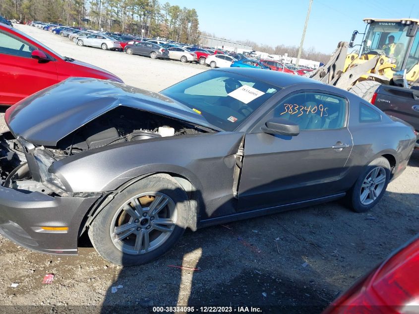 2014 FORD MUSTANG V6 - 1ZVBP8AM3E5269315