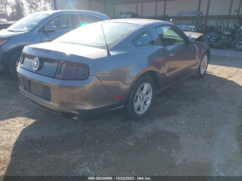 2014 FORD MUSTANG V6 - 1ZVBP8AM3E5269315