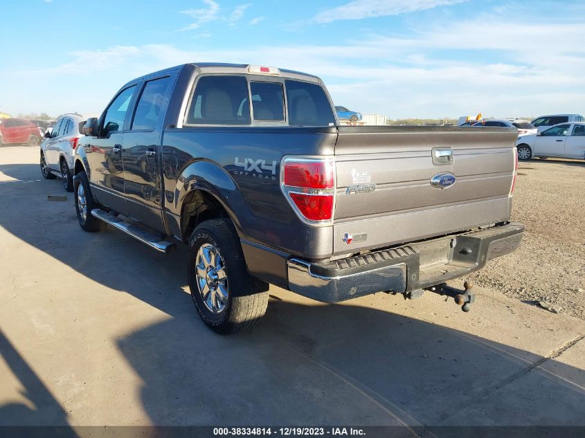 2014 FORD F-150 XLT - 1FTFW1ET2EKE19898