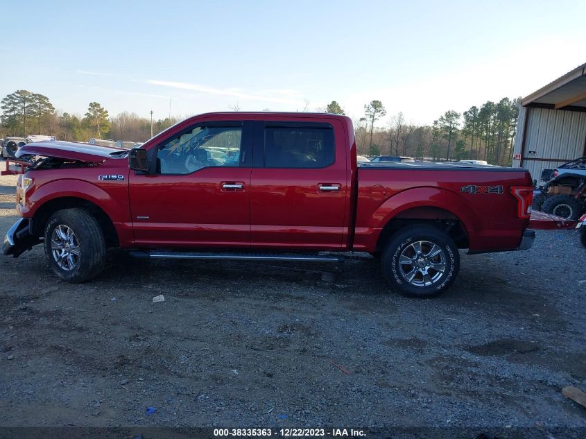 2015 FORD F-150 XLT - 1FTEW1EG3FFB38993