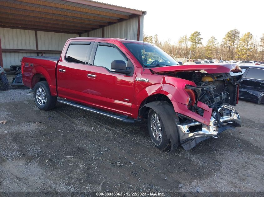 2015 FORD F-150 XLT - 1FTEW1EG3FFB38993