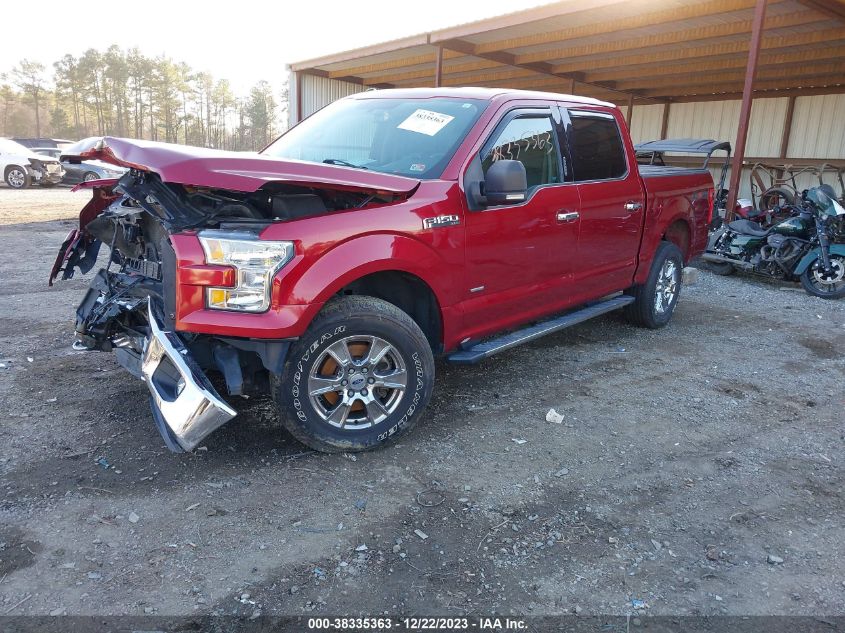 2015 FORD F-150 XLT - 1FTEW1EG3FFB38993