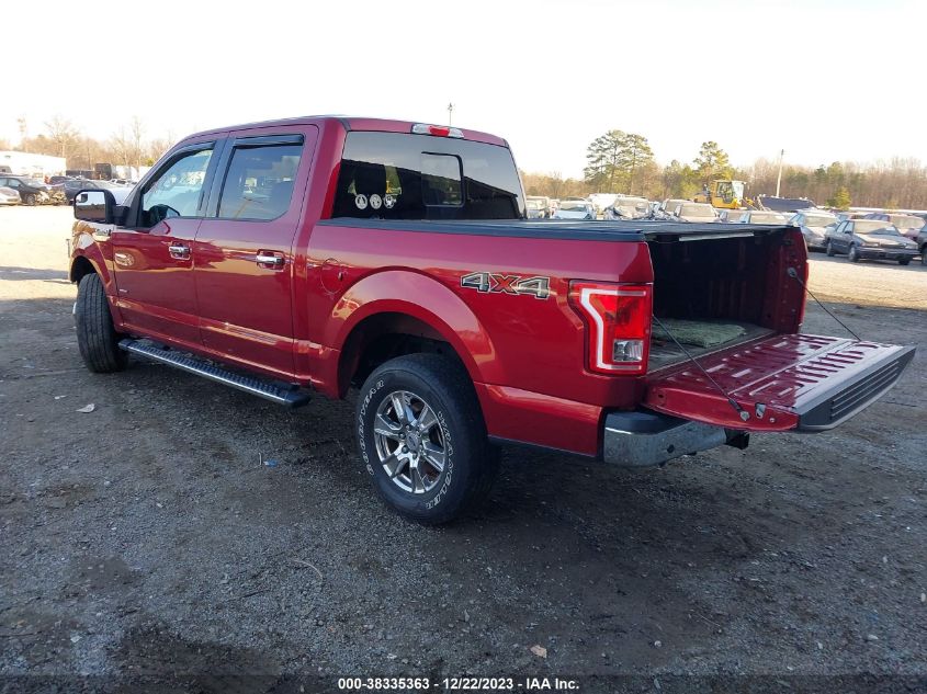 2015 FORD F-150 XLT - 1FTEW1EG3FFB38993