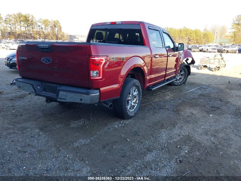 2015 FORD F-150 XLT - 1FTEW1EG3FFB38993