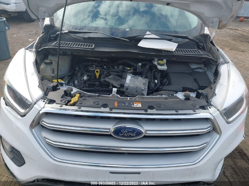 2019 FORD ESCAPE SE - 1FMCU0GD3KUA42535