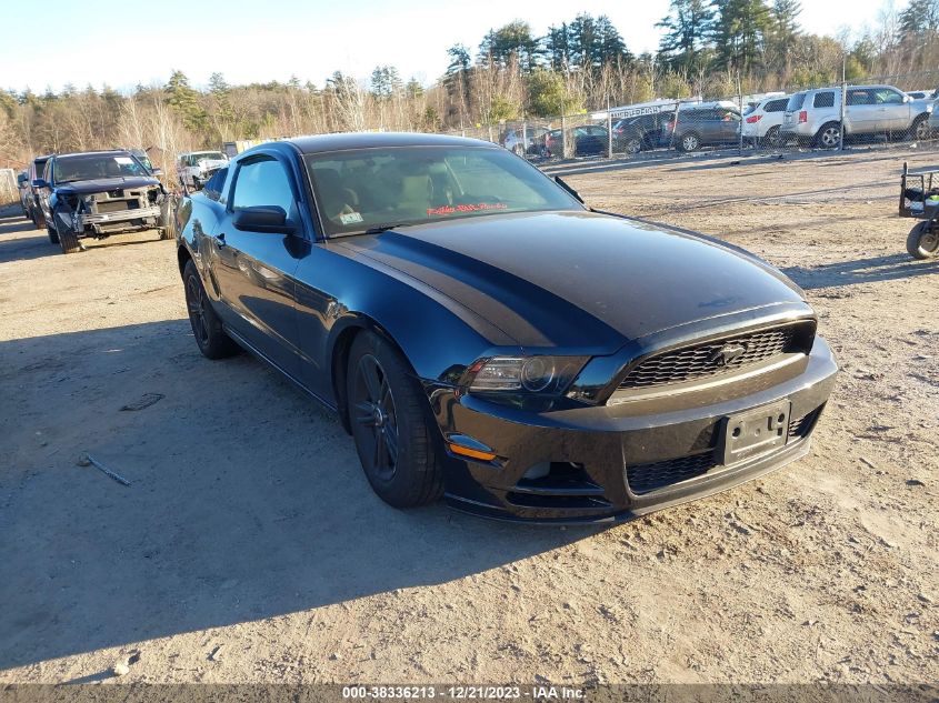 2014 FORD MUSTANG V6 - 1ZVBP8AM9E5334779