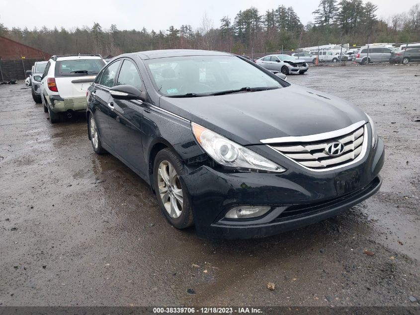 2013 HYUNDAI SONATA LIMITED - 5NPEC4AC9DH789433