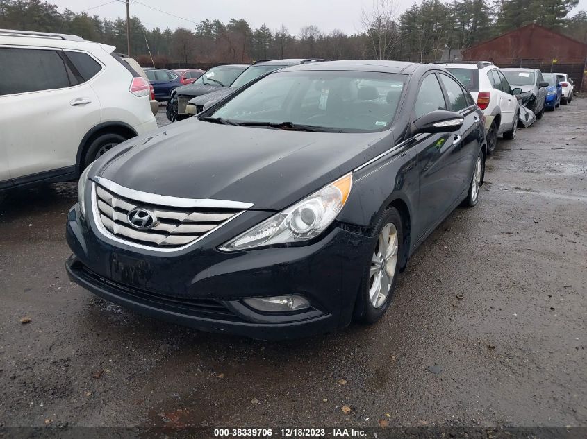 2013 HYUNDAI SONATA LIMITED - 5NPEC4AC9DH789433