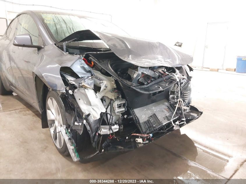 2023 TESLA MODEL Y - 7SAYGAEE2PF667028
