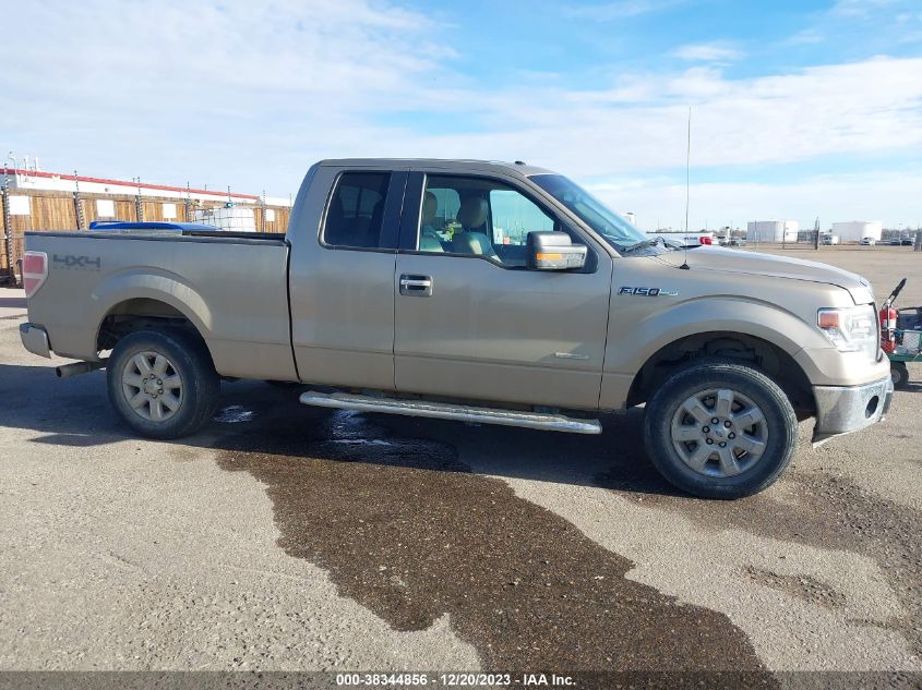 2014 FORD F-150 XLT - 1FTFX1ET7EFB09686