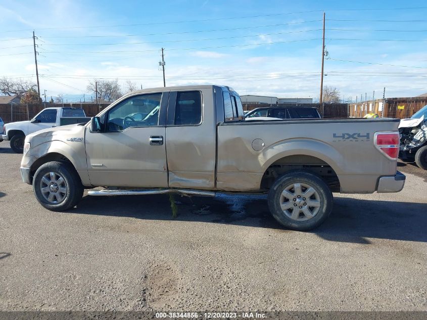 2014 FORD F-150 XLT - 1FTFX1ET7EFB09686