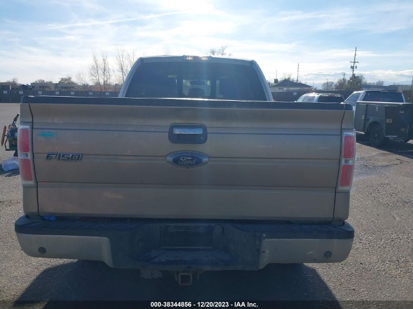 2014 FORD F-150 XLT - 1FTFX1ET7EFB09686