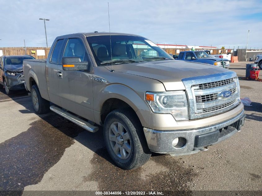 2014 FORD F-150 XLT - 1FTFX1ET7EFB09686