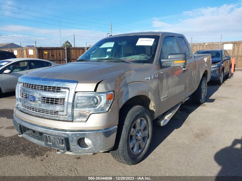 2014 FORD F-150 XLT - 1FTFX1ET7EFB09686
