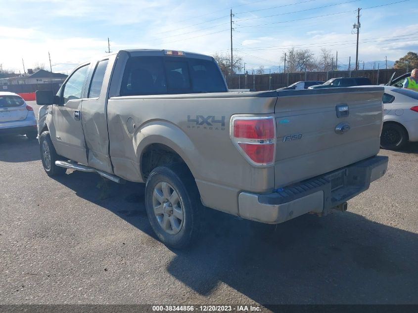 2014 FORD F-150 XLT - 1FTFX1ET7EFB09686