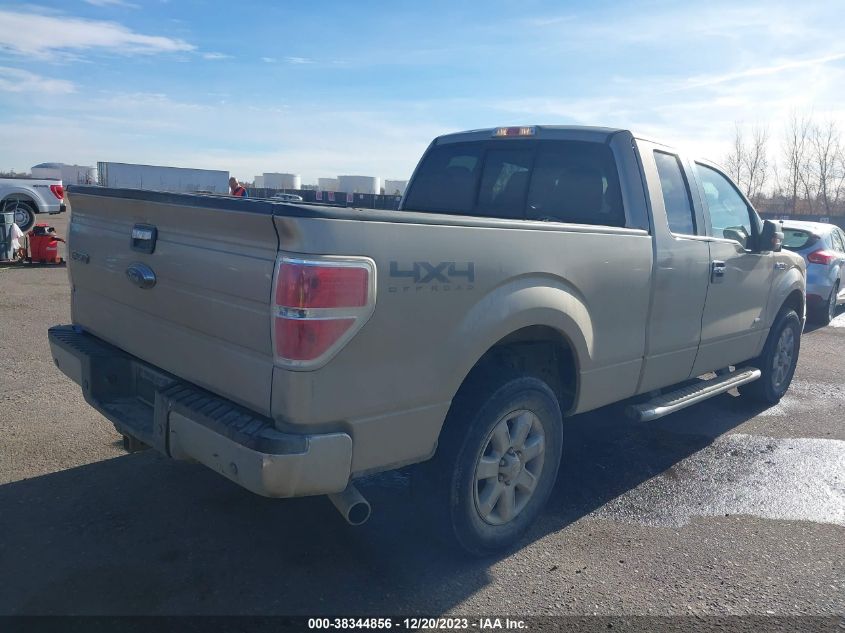 2014 FORD F-150 XLT - 1FTFX1ET7EFB09686
