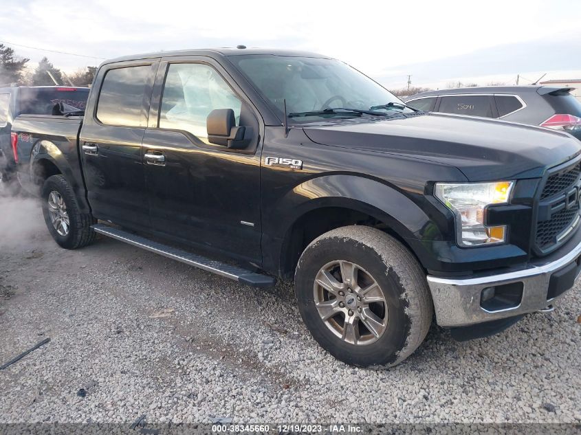 2015 FORD F-150 XLT - 1FTEW1EP3FKE75428