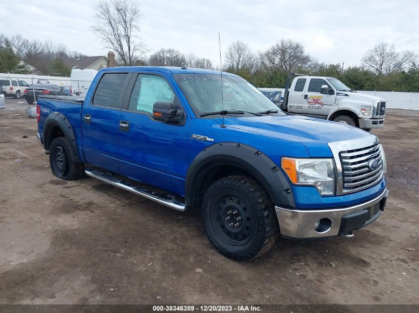 1FTFW1EFXBFA20204 | 2011 FORD F-150