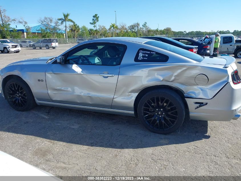 2013 FORD MUSTANG GT - 1ZVBP8CF7D5271713