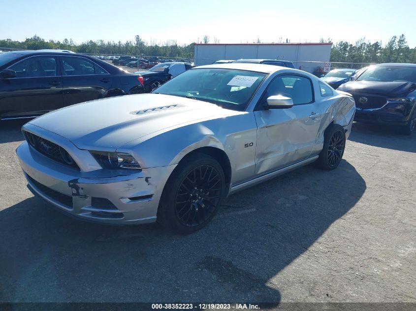 2013 FORD MUSTANG GT - 1ZVBP8CF7D5271713