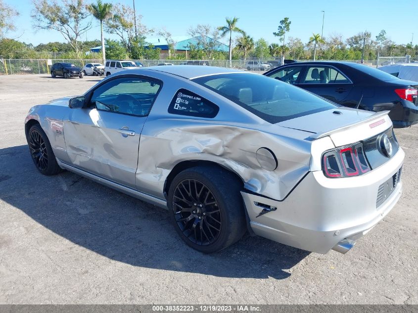 2013 FORD MUSTANG GT - 1ZVBP8CF7D5271713